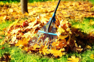 performing regular lawn maintenance will help you prevent fall pests