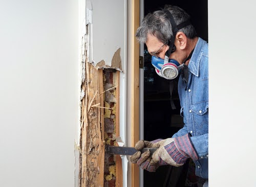 Termiteinspection