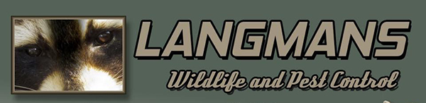 Lang Logo