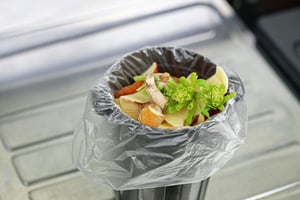 control your garbage to keep pests out
