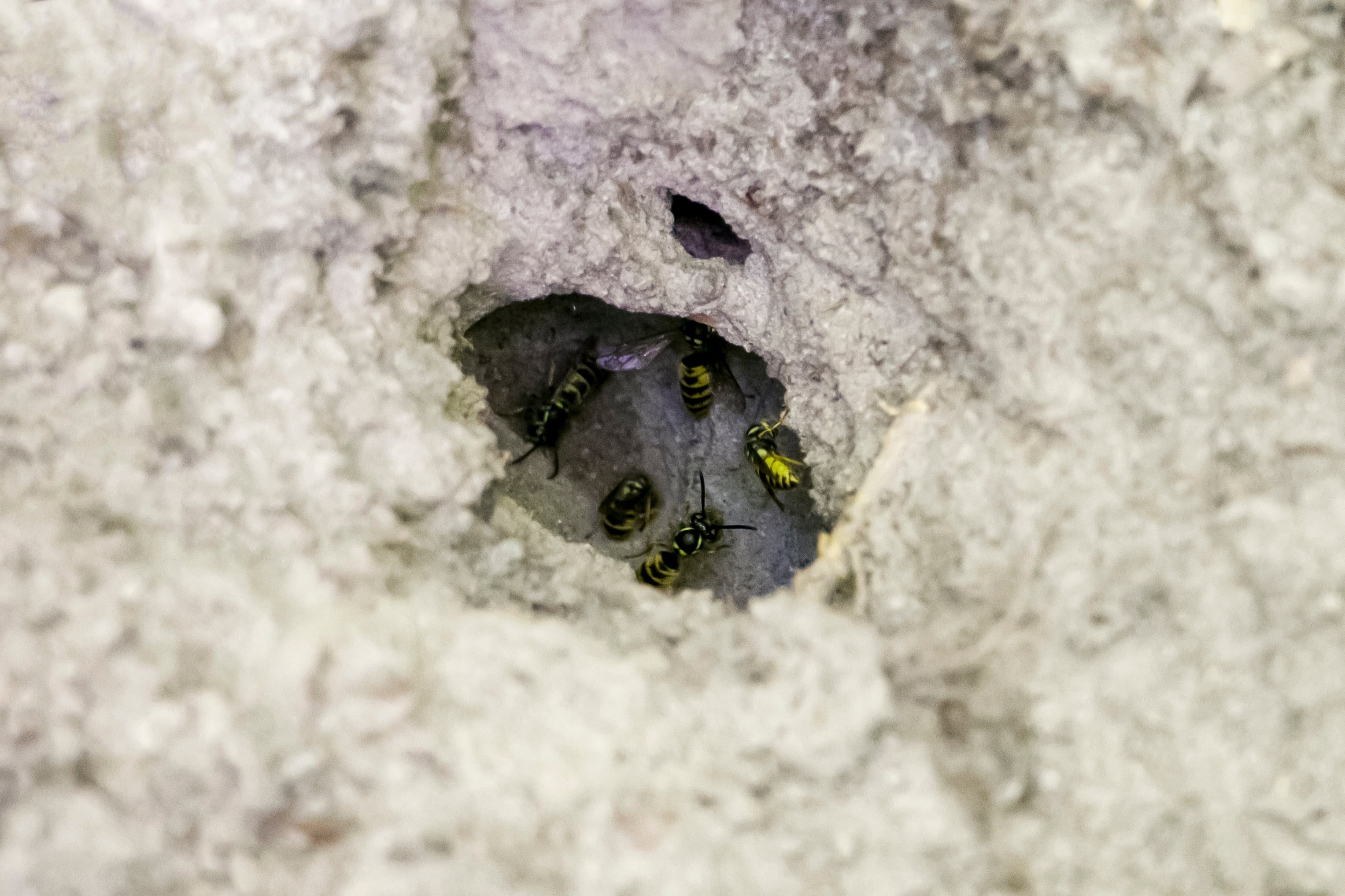 Shutterstock 2698154641 (1)