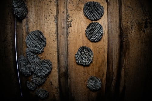 Shutterstock 2621202485 (1)