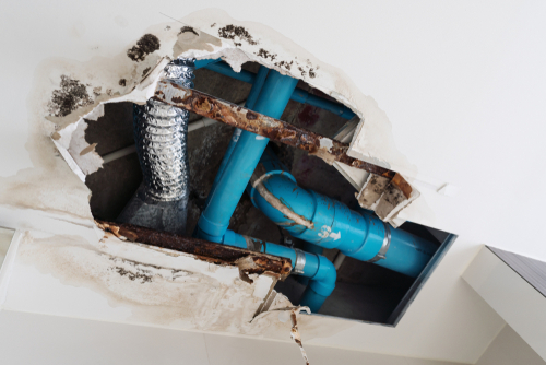 Plumbing Damage