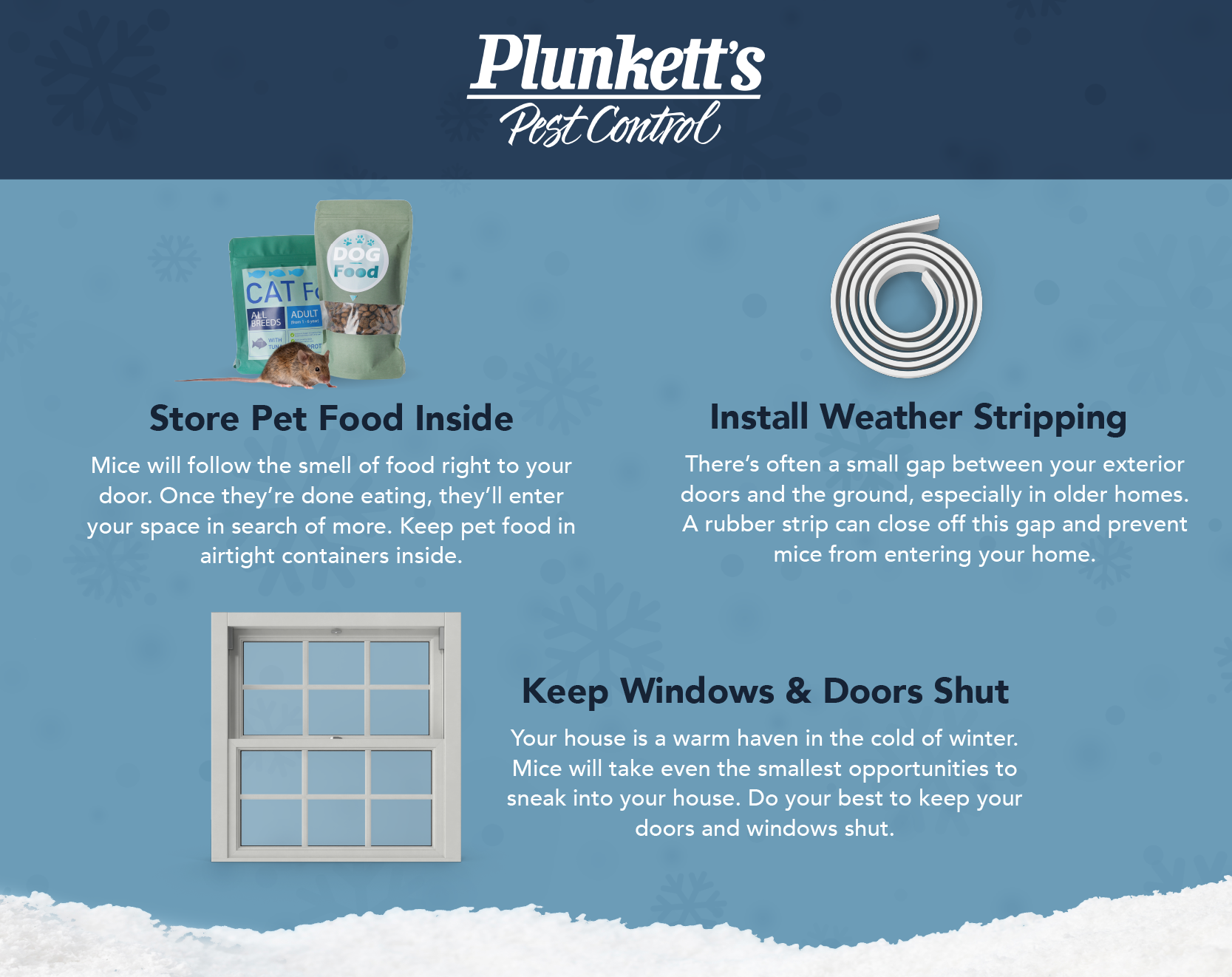 Plunketts Winter Mice Info R2 02