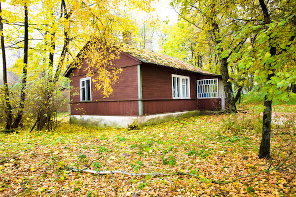 do outdoor maintenance to prevent pests at your cabin