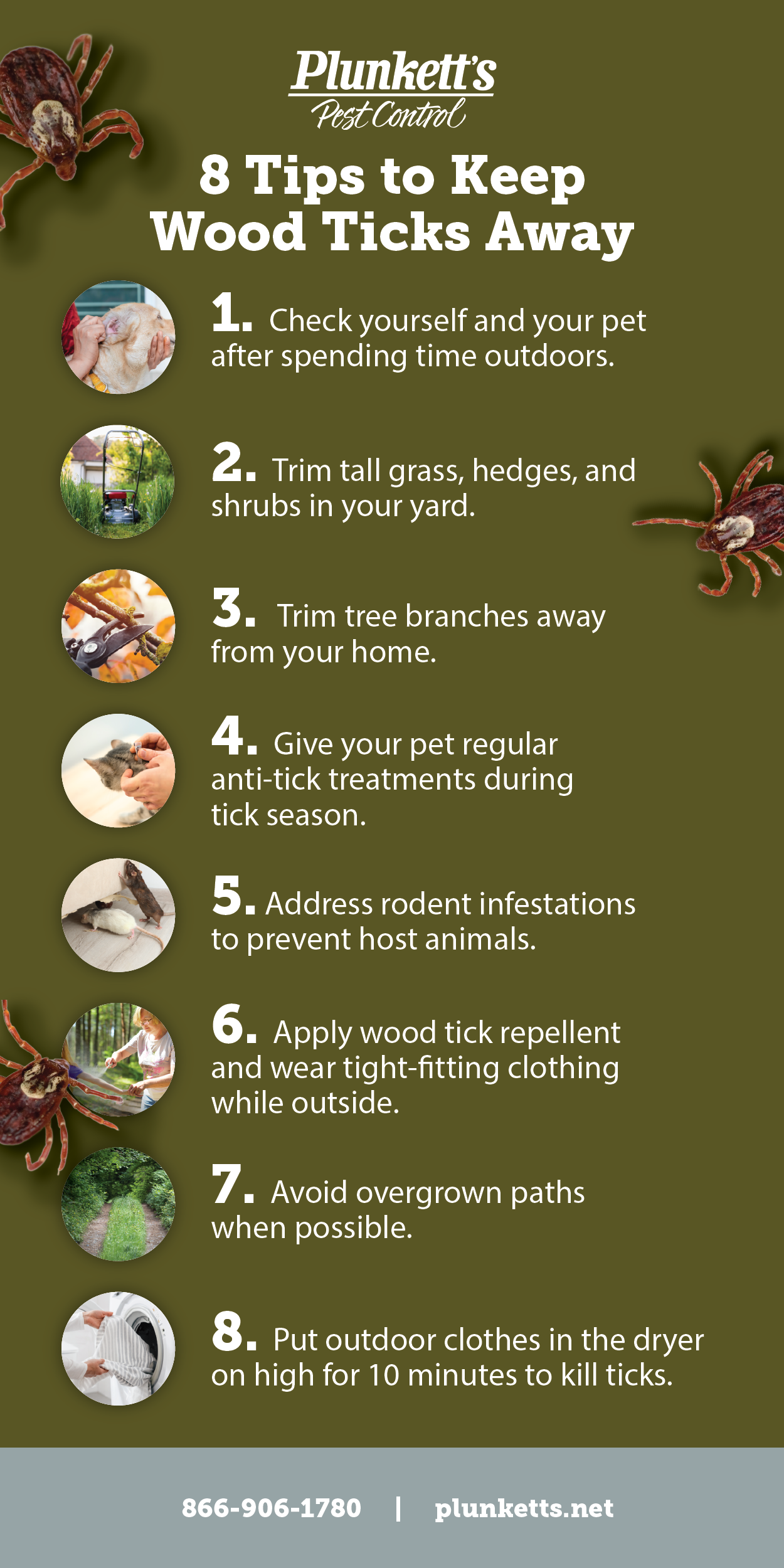 Plunkett Wood Tick Info R3 01 (1) (1)