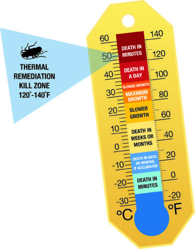 Bedbug Heat Killzone