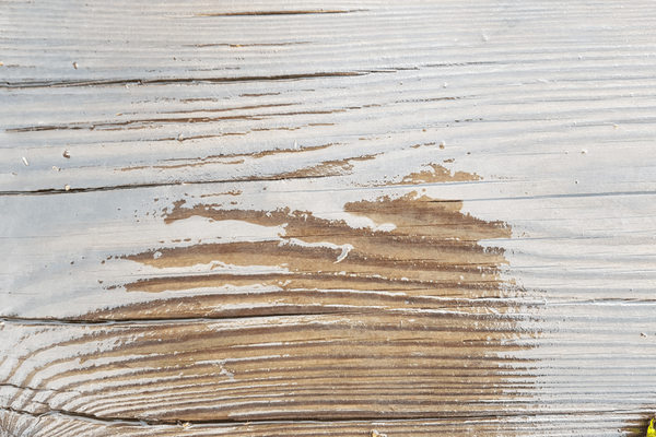 termites attracted to moisture