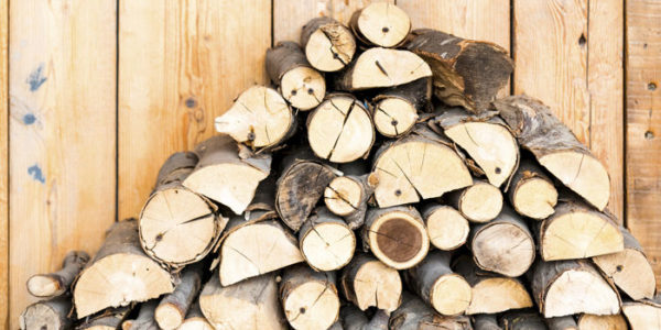keep pests out of firewood