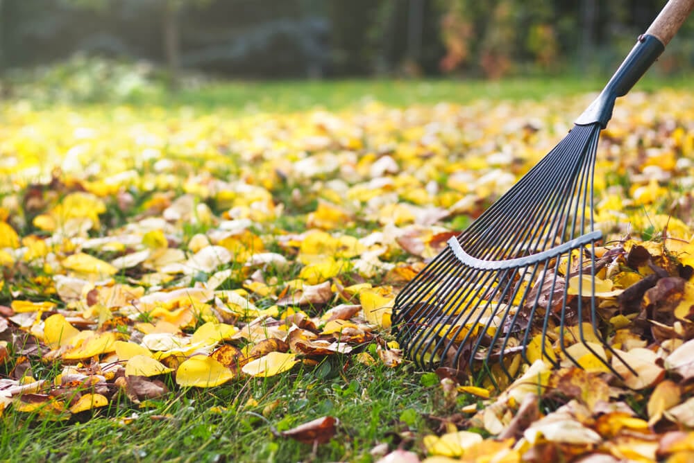 preventing fall pests